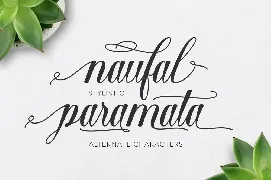 Shantea Script font