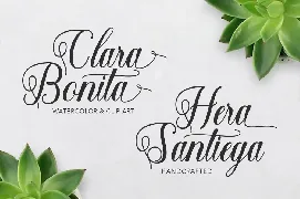 Shantea Script font