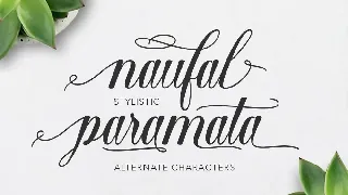 Shantea Script font