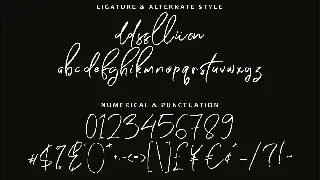 Jhon Wave Signature Script Handmade Font