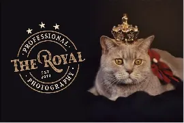 Royal King - Old Vintage Display Font