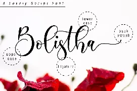 Boshela - Beautiful Script Font