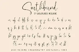 Southbound - Calligraphy Signature Font