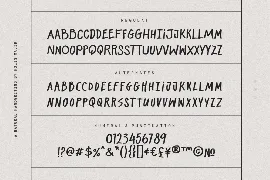 Trial Party Handwriting font