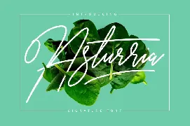 Asturria Signature font