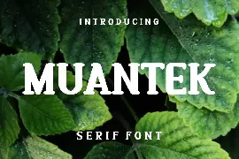 Muantek Font