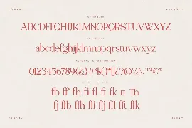 Olivera | Chic Modern Serif font