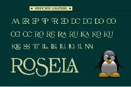 Rosela Elegant Serif Typeface font