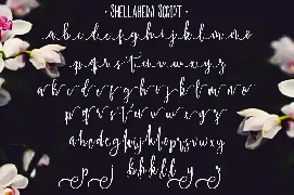 Shellahera Fontpack