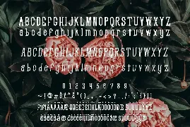 ATHENA - Serif Font