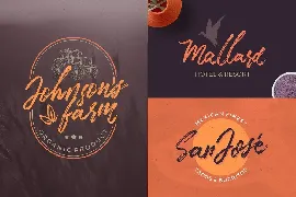 TakeEasy Brush Font