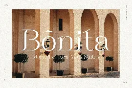 Sebian Elegant Serif Font