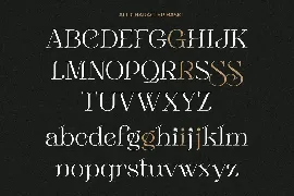 Sebian Elegant Serif Font