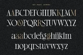 Regista Grande - Modern Display Serif Font