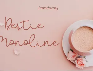 Bestie Monoline Script Font