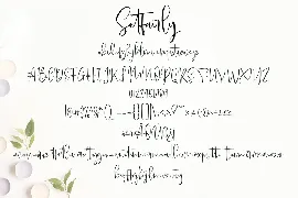 Setfairly | Handwriting Script Font