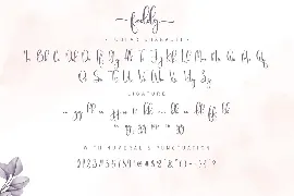 Feddy font