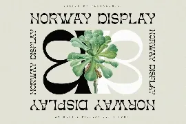 Norway | Authentic Display Typeface font