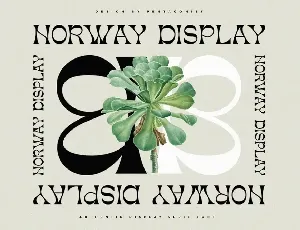 Norway | Authentic Display Typeface font