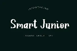 Smart Junior Handwritten Serif Font