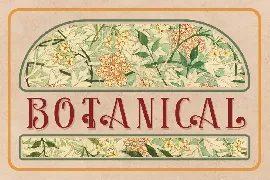 Roseva Font