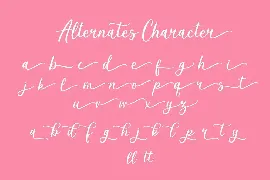 Anabelle Diary - Beautiful Calligraphy Font