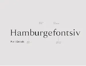 Lara - Sophisticated Serif Typeface font