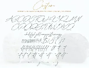 Custome font