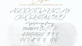 Custome font