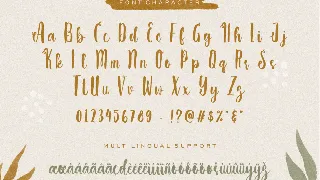 Wilmers Handwriting Brush font