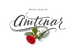 Amtenar font