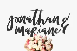 Jollie Typeface font