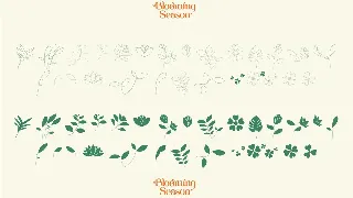 Blooming Season font