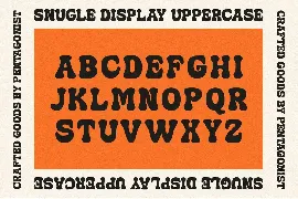 Snugle | Fancy Display font