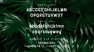 Fillo - Sans Serif Font