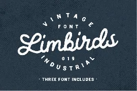 Limbirds Handwritten Script Font Duo