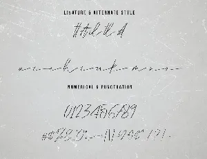 Molthe Modern Signature Font