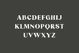 Danilo Catalina Modern Classic Serif Font