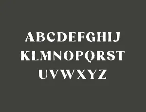 Danilo Catalina Modern Classic Serif Font