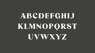 Danilo Catalina Modern Classic Serif Font