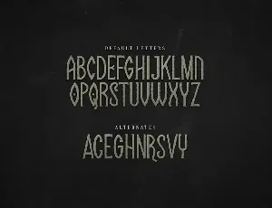 Solaire Rough font