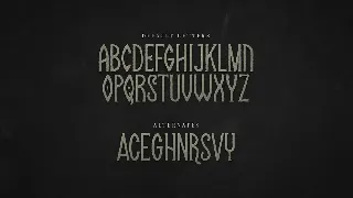 Solaire Rough font