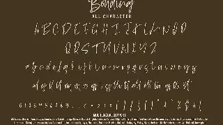 Bonding - Handwritten Font