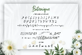 Botanique - Handwritten Script fonts