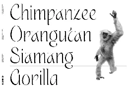 Guffonia font