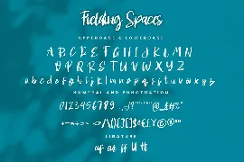 Fielding Spaces- Handwritten Script fonts