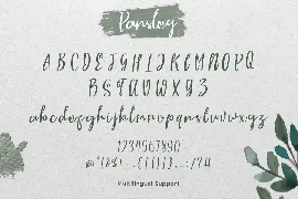 Parsley Handwritten Typeface font