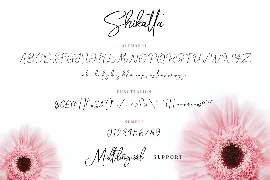 Shikatta - Signature Font