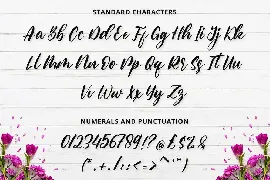 Calligraphy Font