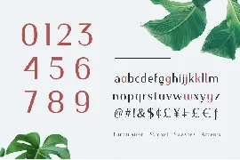 Nourishe font